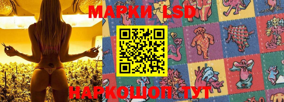 где купить наркоту  Марки 25I-NBOMe 1500мкг  Вход с VPN  Ухта 